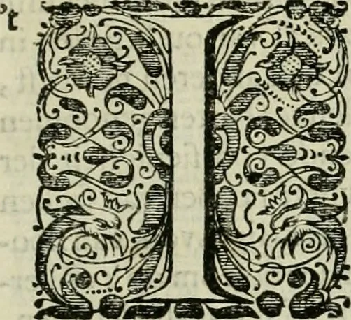 An illustration from Hugo de Groots Nederlandtsche jaerboeken en historien : sedert het jaer MDLV tot het jaer MDCIX : met De belegering der stadt Grol en den aenkleven des jaers MDCXXVII, als ook Het tractaet van de Batavische nu Hollandtsche Republyk, en De vrye zeevaert : met aenteeckeningen, voorts met het leven des schrijvers, twee volkomen registers, en veele koopere platen verciert, 1681, leaf 858