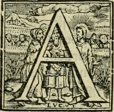 An illustration from Hugo de Groots Nederlandtsche jaerboeken en historien : sedert het jaer MDLV tot het jaer MDCIX : met De belegering der stadt Grol en den aenkleven des jaers MDCXXVII, als ook Het tractaet van de Batavische nu Hollandtsche Republyk, en De vrye zeevaert : met aenteeckeningen, voorts met het leven des schrijvers, twee volkomen registers, en veele koopere platen verciert, 1681, leaf 892