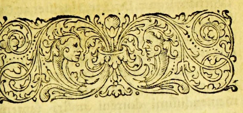 An illustration from Hugo Grotius De mari libero et P. Merula De maribus, 1633, leaf 233