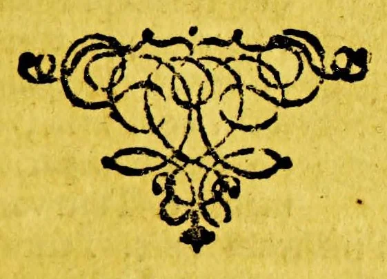 An illustration from Hugonis Grotii Annales et historiae de rebus Belgicis, 1658, leaf 177