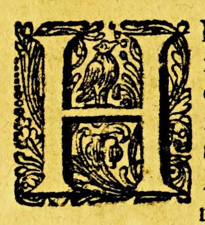 An illustration from Hugonis Grotii Annales et historiae de rebus Belgicis, 1658, leaf 736