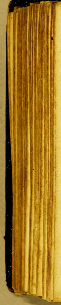 An illustration from Hugonis Grotii Annales et historiae de rebus Belgicis, 1658, leaf 808
