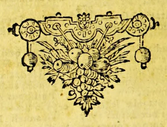 An illustration from Hugonis Grotii Annales et historiae de rebus Belgicis, 1658, leaf 862