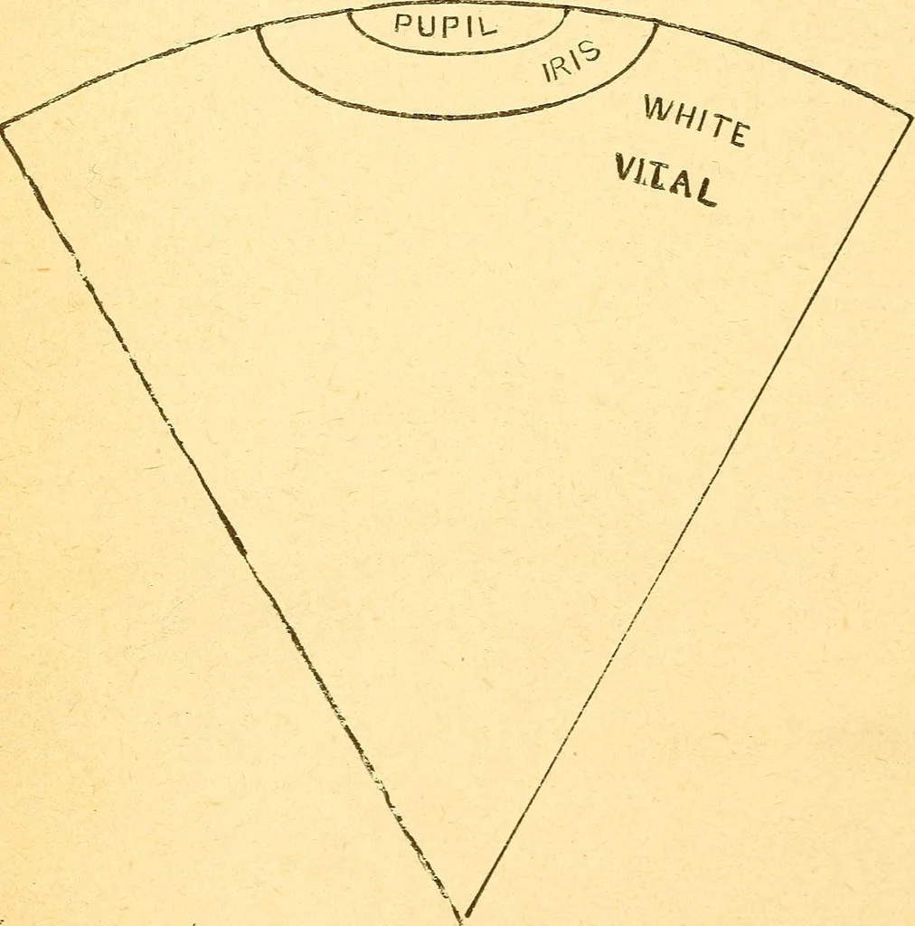 An illustration from Human nature, or, Men and women exposed : treating of every characteristic, both good and bad, of the various types of man and woman as they exist, and as manifested in every-day life, giving "the truth, the whole truth, and nothing but the truth", 1901, leaf 117