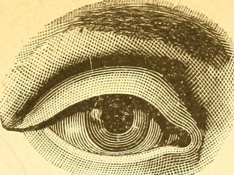 An illustration from Human nature, or, Men and women exposed : treating of every characteristic, both good and bad, of the various types of man and woman as they exist, and as manifested in every-day life, giving "the truth, the whole truth, and nothing but the truth", 1901, leaf 118