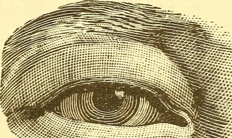 An illustration from Human nature, or, Men and women exposed : treating of every characteristic, both good and bad, of the various types of man and woman as they exist, and as manifested in every-day life, giving "the truth, the whole truth, and nothing but the truth", 1901, leaf 118