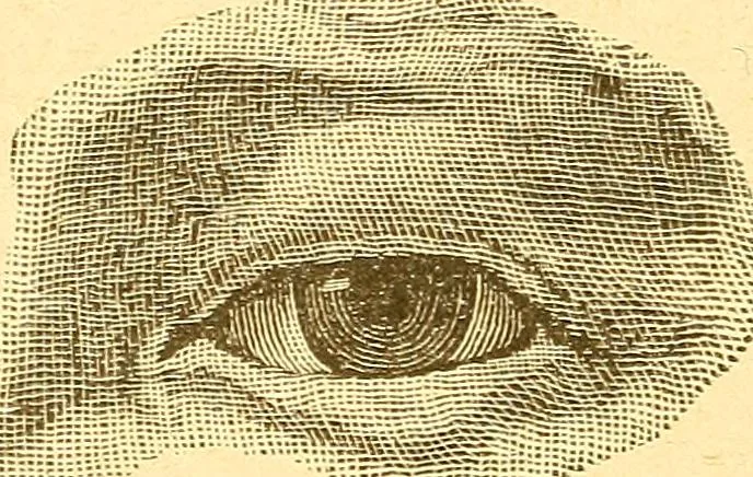 An illustration from Human nature, or, Men and women exposed : treating of every characteristic, both good and bad, of the various types of man and woman as they exist, and as manifested in every-day life, giving "the truth, the whole truth, and nothing but the truth", 1901, leaf 149