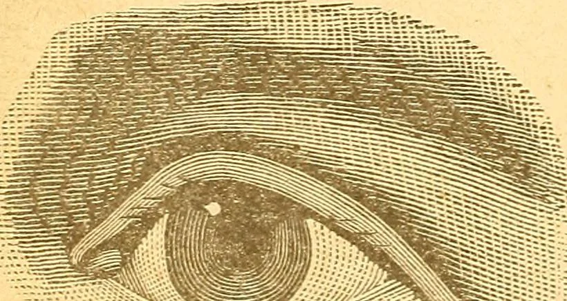An illustration from Human nature, or, Men and women exposed : treating of every characteristic, both good and bad, of the various types of man and woman as they exist, and as manifested in every-day life, giving "the truth, the whole truth, and nothing but the truth", 1901, leaf 29