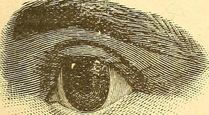 An illustration from Human nature, or, Men and women exposed : treating of every characteristic, both good and bad, of the various types of man and woman as they exist, and as manifested in every-day life, giving "the truth, the whole truth, and nothing but the truth", 1901, leaf 36