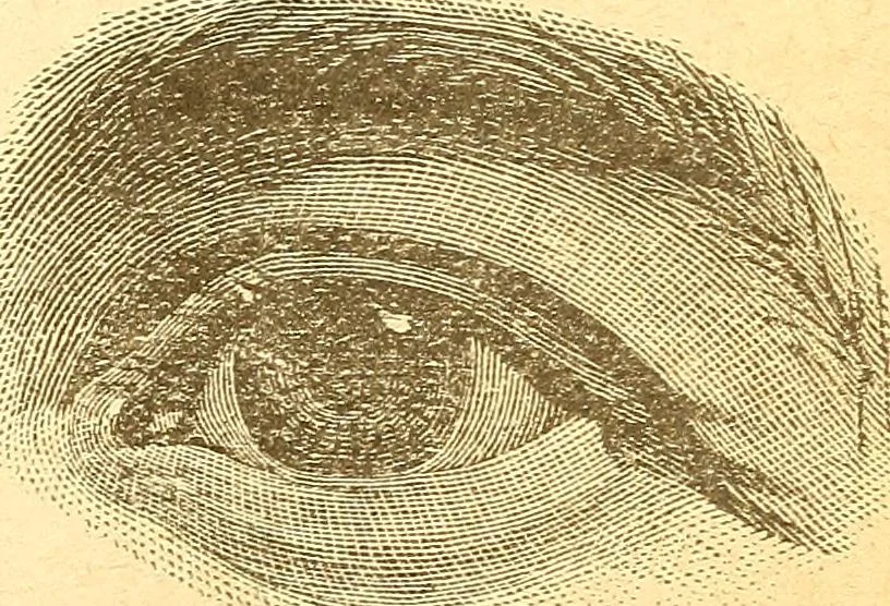 An illustration from Human nature, or, Men and women exposed : treating of every characteristic, both good and bad, of the various types of man and woman as they exist, and as manifested in every-day life, giving "the truth, the whole truth, and nothing but the truth", 1901, leaf 36