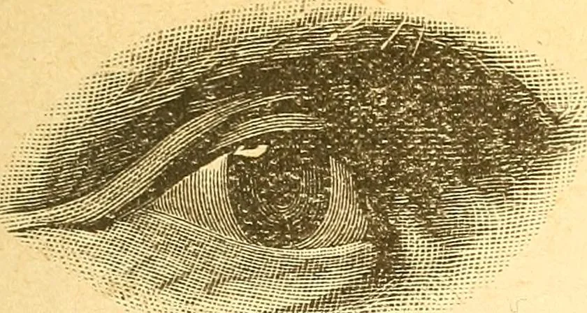 An illustration from Human nature, or, Men and women exposed : treating of every characteristic, both good and bad, of the various types of man and woman as they exist, and as manifested in every-day life, giving "the truth, the whole truth, and nothing but the truth", 1901, leaf 36
