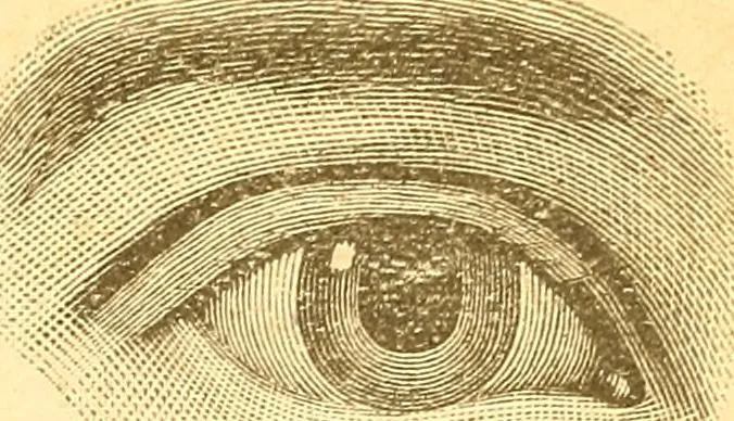 An illustration from Human nature, or, Men and women exposed : treating of every characteristic, both good and bad, of the various types of man and woman as they exist, and as manifested in every-day life, giving "the truth, the whole truth, and nothing but the truth", 1901, leaf 36