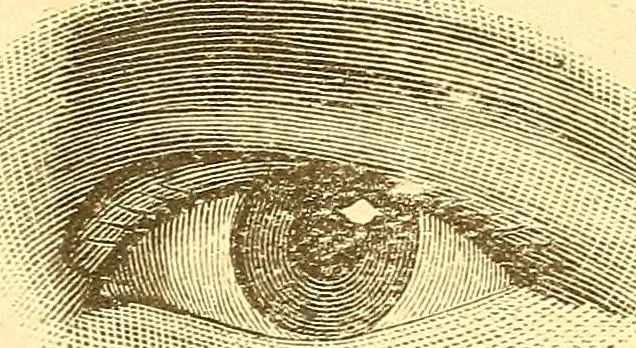 An illustration from Human nature, or, Men and women exposed : treating of every characteristic, both good and bad, of the various types of man and woman as they exist, and as manifested in every-day life, giving "the truth, the whole truth, and nothing but the truth", 1901, leaf 36
