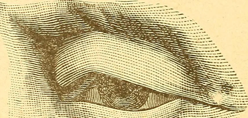 An illustration from Human nature, or, Men and women exposed : treating of every characteristic, both good and bad, of the various types of man and woman as they exist, and as manifested in every-day life, giving "the truth, the whole truth, and nothing but the truth", 1901, leaf 37