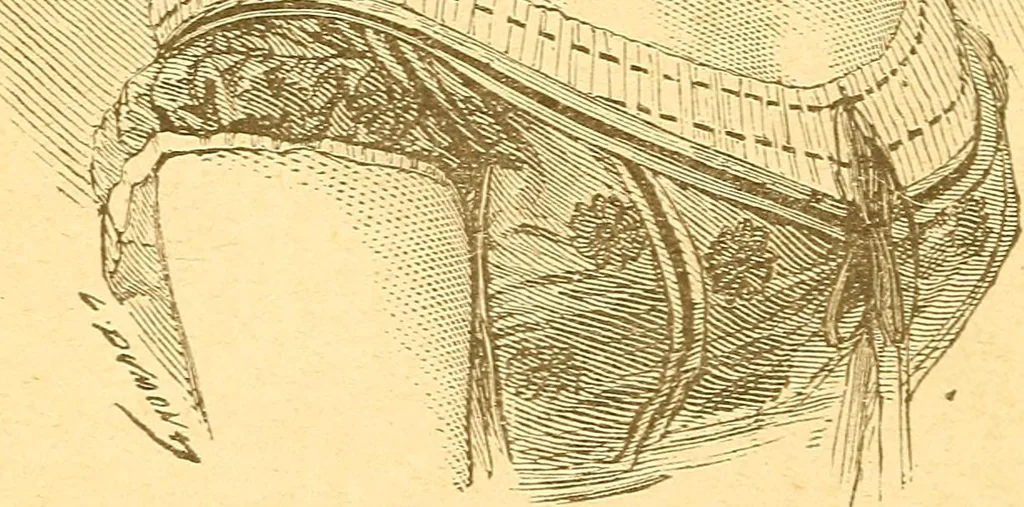 An illustration from Human nature, or, Men and women exposed : treating of every characteristic, both good and bad, of the various types of man and woman as they exist, and as manifested in every-day life, giving "the truth, the whole truth, and nothing but the truth", 1901, leaf 43
