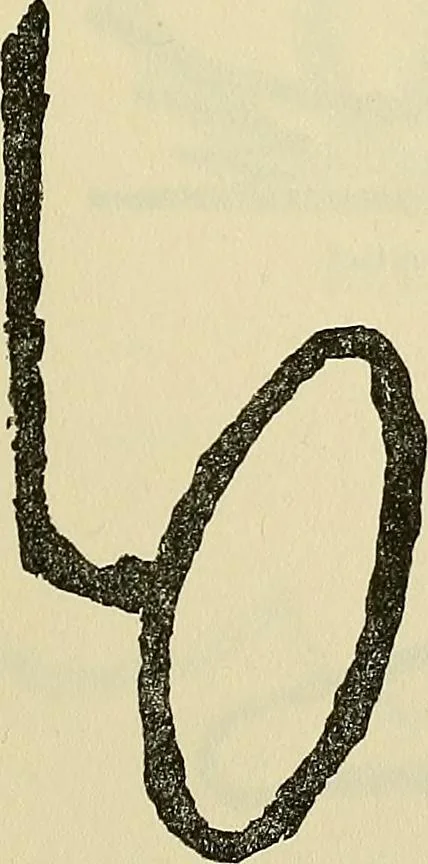 An illustration from Human personality and its survival of bodily death, 1903, leaf 656