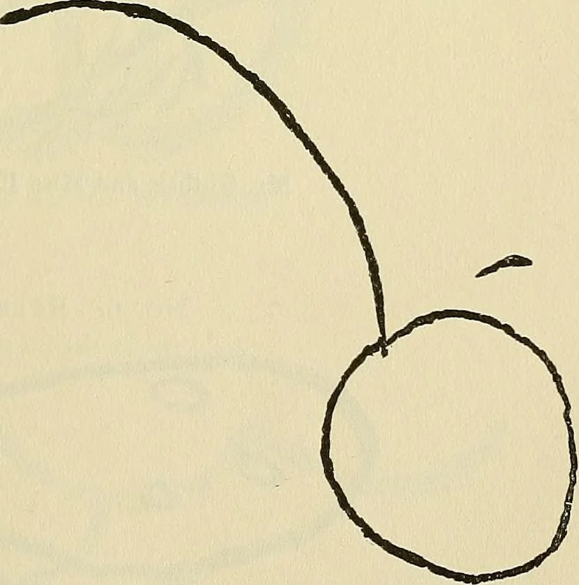 An illustration from Human personality and its survival of bodily death, 1903, leaf 656