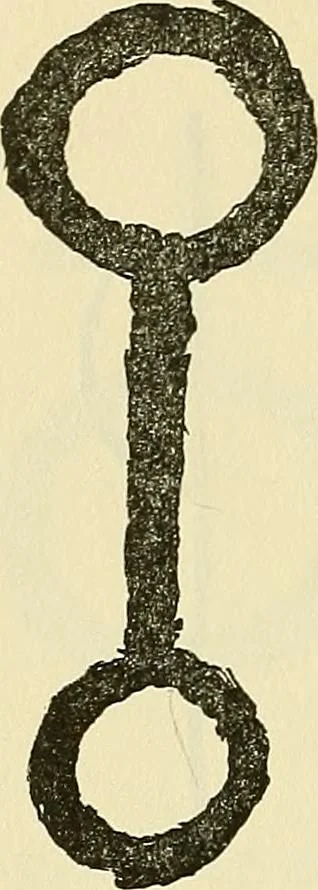An illustration from Human personality and its survival of bodily death, 1903, leaf 659