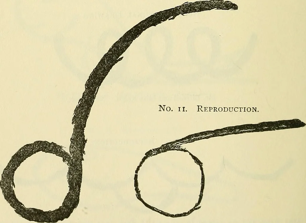 An illustration from Human personality and its survival of bodily death, 1903, leaf 659