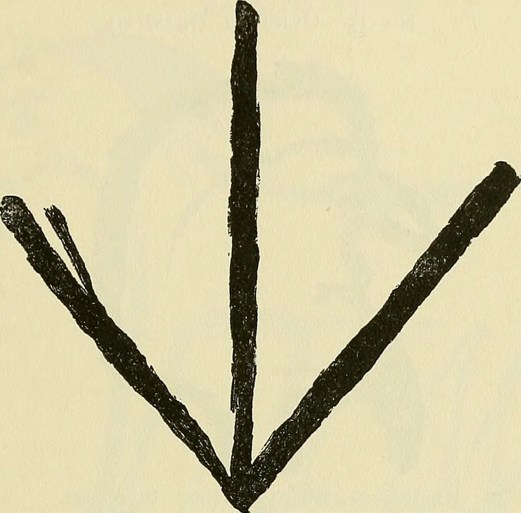 An illustration from Human personality and its survival of bodily death, 1903, leaf 660