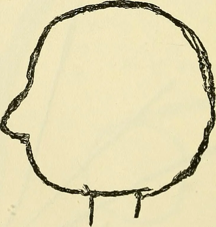 An illustration from Human personality and its survival of bodily death, 1903, leaf 661