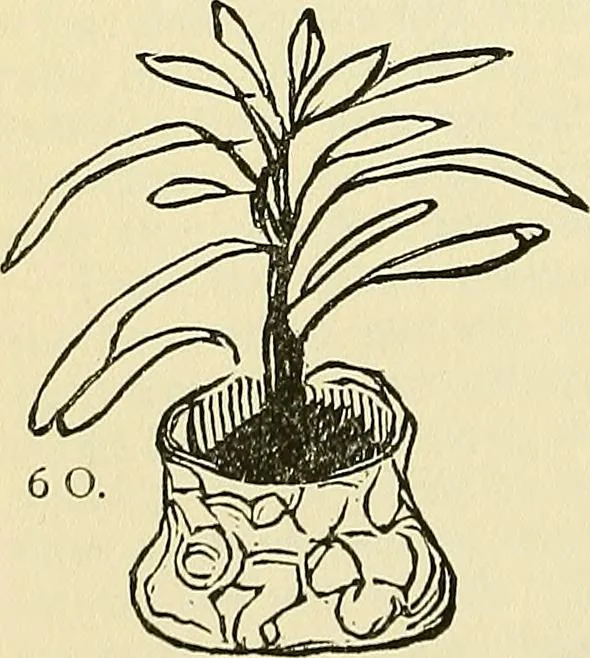 An illustration from Human personality and its survival of bodily death, 1903, leaf 667