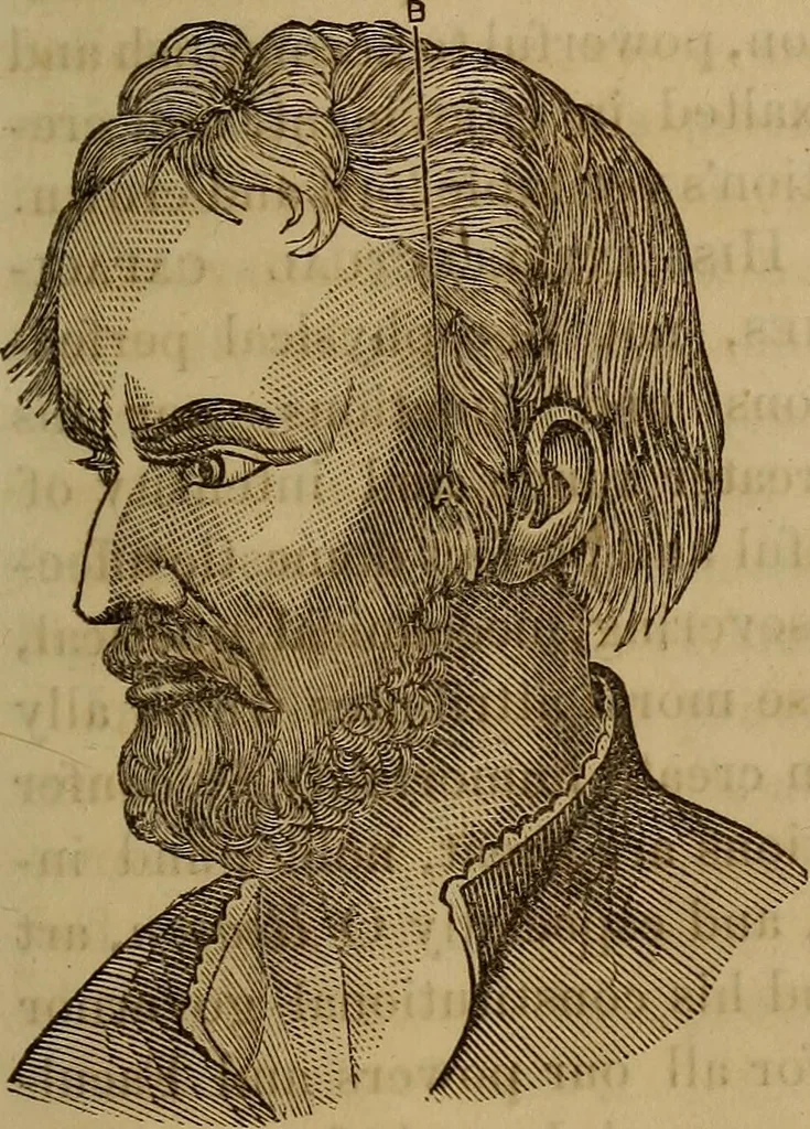 An illustration from Human science, or, Phrenology : its principles, proofs, faculties, organs, temperaments, combinations, conditions, teachings, philosophies, etc., etc. : as applied to health, its values, laws, functions, organs, means, preservation, restoration, etc. : mental philosophy, human and self improvement, civilization, home, country, commerce, rights, duties, ethics, etc. : God, His existence, attributes, laws, worship, natural theology, etc. : immortality, its evidences, conditions, relations to time, rewards, punishments, sin, faith, prayer, etc. : intellect, memory, juvenile and self education, literature, mental discipline, the senses, sciences, arts, avocations, a perfect life, etc., etc., etc., 1873, leaf 1000