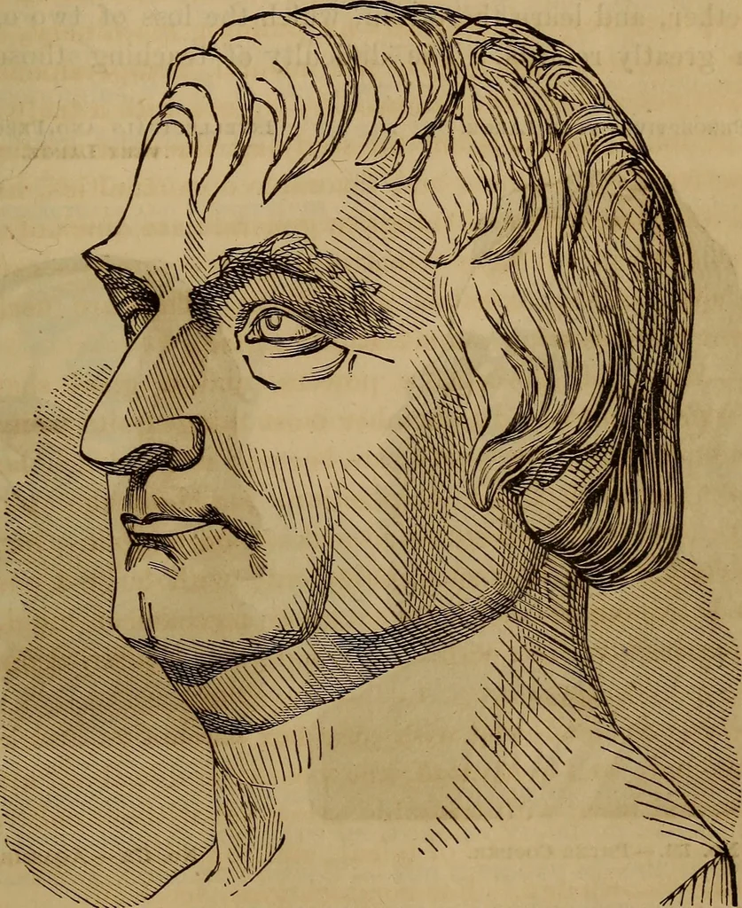 An illustration from Human science, or, Phrenology : its principles, proofs, faculties, organs, temperaments, combinations, conditions, teachings, philosophies, etc., etc. : as applied to health, its values, laws, functions, organs, means, preservation, restoration, etc. : mental philosophy, human and self improvement, civilization, home, country, commerce, rights, duties, ethics, etc. : God, His existence, attributes, laws, worship, natural theology, etc. : immortality, its evidences, conditions, relations to time, rewards, punishments, sin, faith, prayer, etc. : intellect, memory, juvenile and self education, literature, mental discipline, the senses, sciences, arts, avocations, a perfect life, etc., etc., etc., 1873, leaf 1014