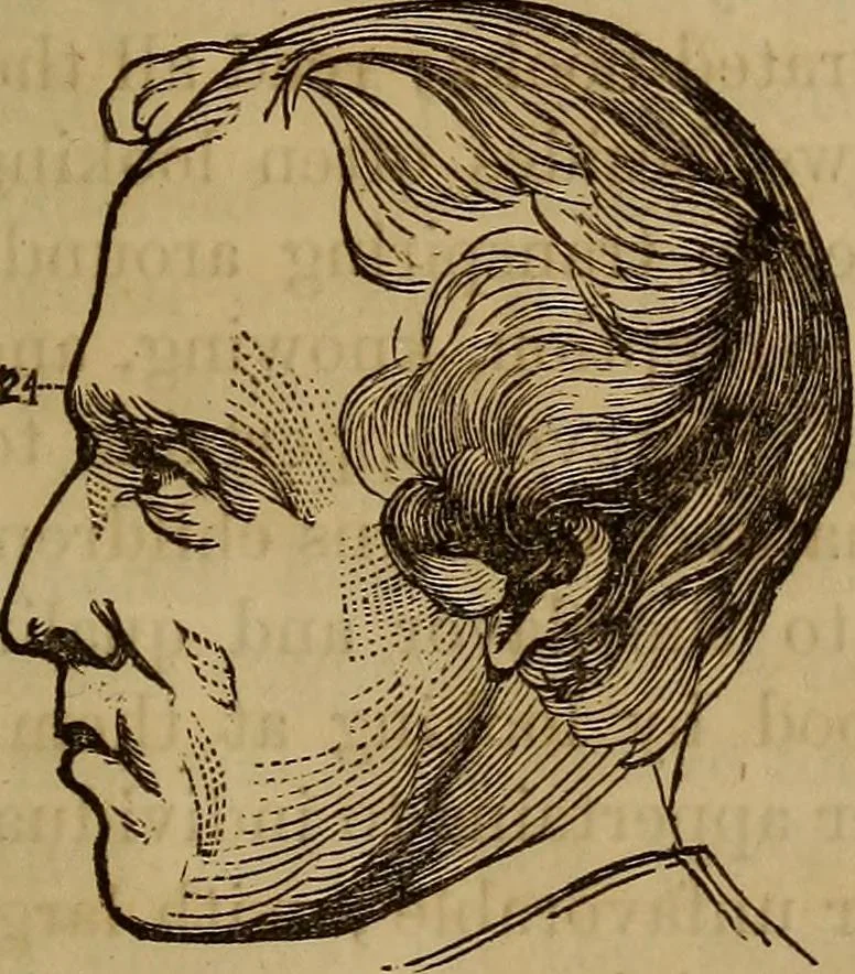 An illustration from Human science, or, Phrenology : its principles, proofs, faculties, organs, temperaments, combinations, conditions, teachings, philosophies, etc., etc. : as applied to health, its values, laws, functions, organs, means, preservation, restoration, etc. : mental philosophy, human and self improvement, civilization, home, country, commerce, rights, duties, ethics, etc. : God, His existence, attributes, laws, worship, natural theology, etc. : immortality, its evidences, conditions, relations to time, rewards, punishments, sin, faith, prayer, etc. : intellect, memory, juvenile and self education, literature, mental discipline, the senses, sciences, arts, avocations, a perfect life, etc., etc., etc., 1873, leaf 1018