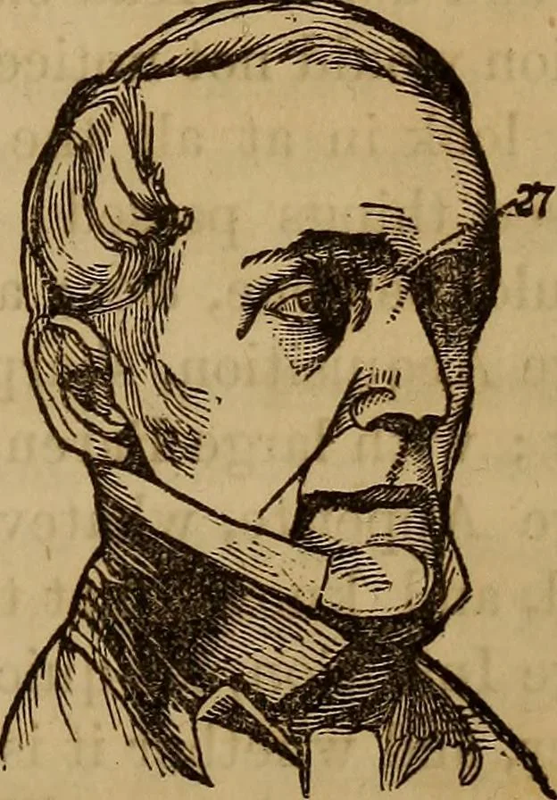 An illustration from Human science, or, Phrenology : its principles, proofs, faculties, organs, temperaments, combinations, conditions, teachings, philosophies, etc., etc. : as applied to health, its values, laws, functions, organs, means, preservation, restoration, etc. : mental philosophy, human and self improvement, civilization, home, country, commerce, rights, duties, ethics, etc. : God, His existence, attributes, laws, worship, natural theology, etc. : immortality, its evidences, conditions, relations to time, rewards, punishments, sin, faith, prayer, etc. : intellect, memory, juvenile and self education, literature, mental discipline, the senses, sciences, arts, avocations, a perfect life, etc., etc., etc., 1873, leaf 1018