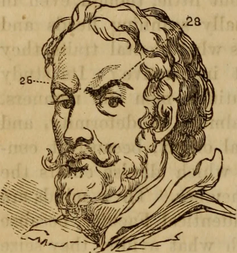 An illustration from Human science, or, Phrenology : its principles, proofs, faculties, organs, temperaments, combinations, conditions, teachings, philosophies, etc., etc. : as applied to health, its values, laws, functions, organs, means, preservation, restoration, etc. : mental philosophy, human and self improvement, civilization, home, country, commerce, rights, duties, ethics, etc. : God, His existence, attributes, laws, worship, natural theology, etc. : immortality, its evidences, conditions, relations to time, rewards, punishments, sin, faith, prayer, etc. : intellect, memory, juvenile and self education, literature, mental discipline, the senses, sciences, arts, avocations, a perfect life, etc., etc., etc., 1873, leaf 1023