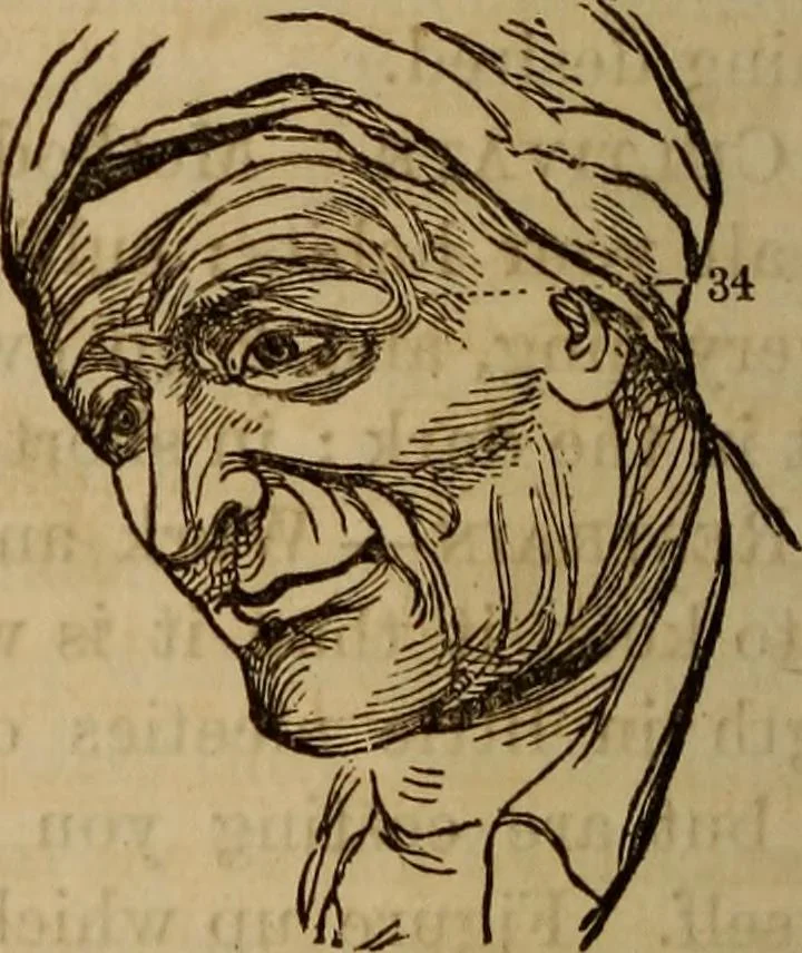 An illustration from Human science, or, Phrenology : its principles, proofs, faculties, organs, temperaments, combinations, conditions, teachings, philosophies, etc., etc. : as applied to health, its values, laws, functions, organs, means, preservation, restoration, etc. : mental philosophy, human and self improvement, civilization, home, country, commerce, rights, duties, ethics, etc. : God, His existence, attributes, laws, worship, natural theology, etc. : immortality, its evidences, conditions, relations to time, rewards, punishments, sin, faith, prayer, etc. : intellect, memory, juvenile and self education, literature, mental discipline, the senses, sciences, arts, avocations, a perfect life, etc., etc., etc., 1873, leaf 1047