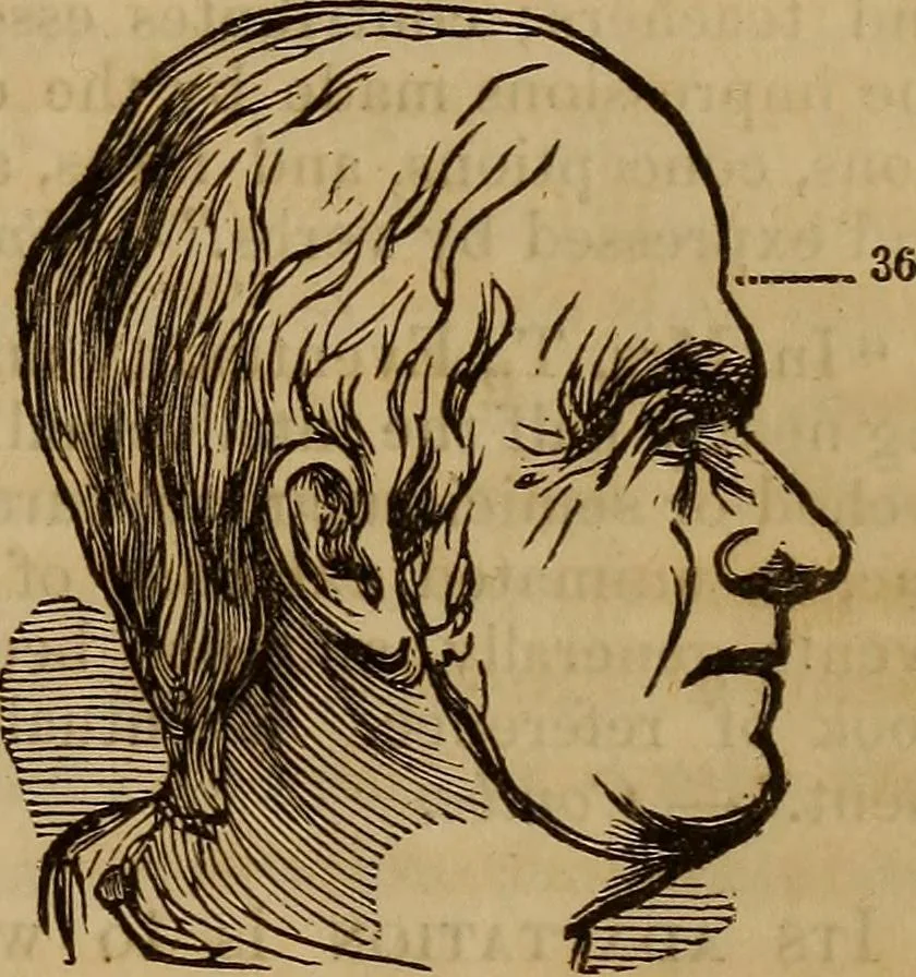 An illustration from Human science, or, Phrenology : its principles, proofs, faculties, organs, temperaments, combinations, conditions, teachings, philosophies, etc., etc. : as applied to health, its values, laws, functions, organs, means, preservation, restoration, etc. : mental philosophy, human and self improvement, civilization, home, country, commerce, rights, duties, ethics, etc. : God, His existence, attributes, laws, worship, natural theology, etc. : immortality, its evidences, conditions, relations to time, rewards, punishments, sin, faith, prayer, etc. : intellect, memory, juvenile and self education, literature, mental discipline, the senses, sciences, arts, avocations, a perfect life, etc., etc., etc., 1873, leaf 1070