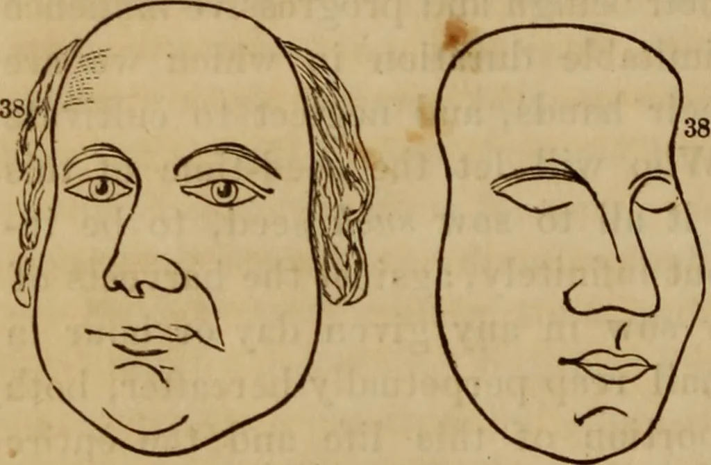 An illustration from Human science, or, Phrenology : its principles, proofs, faculties, organs, temperaments, combinations, conditions, teachings, philosophies, etc., etc. : as applied to health, its values, laws, functions, organs, means, preservation, restoration, etc. : mental philosophy, human and self improvement, civilization, home, country, commerce, rights, duties, ethics, etc. : God, His existence, attributes, laws, worship, natural theology, etc. : immortality, its evidences, conditions, relations to time, rewards, punishments, sin, faith, prayer, etc. : intellect, memory, juvenile and self education, literature, mental discipline, the senses, sciences, arts, avocations, a perfect life, etc., etc., etc., 1873, leaf 1097