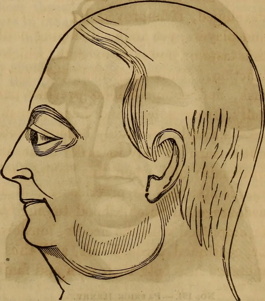 An illustration from Human science, or, Phrenology : its principles, proofs, faculties, organs, temperaments, combinations, conditions, teachings, philosophies, etc., etc. : as applied to health, its values, laws, functions, organs, means, preservation, restoration, etc. : mental philosophy, human and self improvement, civilization, home, country, commerce, rights, duties, ethics, etc. : God, His existence, attributes, laws, worship, natural theology, etc. : immortality, its evidences, conditions, relations to time, rewards, punishments, sin, faith, prayer, etc. : intellect, memory, juvenile and self education, literature, mental discipline, the senses, sciences, arts, avocations, a perfect life, etc., etc., etc., 1873, leaf 1108