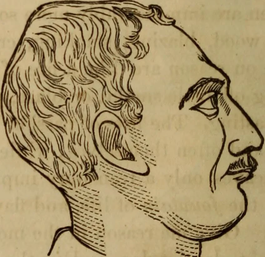 An illustration from Human science, or, Phrenology : its principles, proofs, faculties, organs, temperaments, combinations, conditions, teachings, philosophies, etc., etc. : as applied to health, its values, laws, functions, organs, means, preservation, restoration, etc. : mental philosophy, human and self improvement, civilization, home, country, commerce, rights, duties, ethics, etc. : God, His existence, attributes, laws, worship, natural theology, etc. : immortality, its evidences, conditions, relations to time, rewards, punishments, sin, faith, prayer, etc. : intellect, memory, juvenile and self education, literature, mental discipline, the senses, sciences, arts, avocations, a perfect life, etc., etc., etc., 1873, leaf 1135