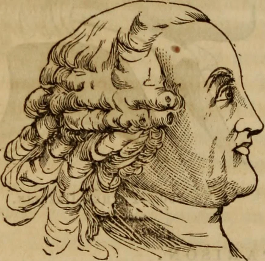 An illustration from Human science, or, Phrenology : its principles, proofs, faculties, organs, temperaments, combinations, conditions, teachings, philosophies, etc., etc. : as applied to health, its values, laws, functions, organs, means, preservation, restoration, etc. : mental philosophy, human and self improvement, civilization, home, country, commerce, rights, duties, ethics, etc. : God, His existence, attributes, laws, worship, natural theology, etc. : immortality, its evidences, conditions, relations to time, rewards, punishments, sin, faith, prayer, etc. : intellect, memory, juvenile and self education, literature, mental discipline, the senses, sciences, arts, avocations, a perfect life, etc., etc., etc., 1873, leaf 1149