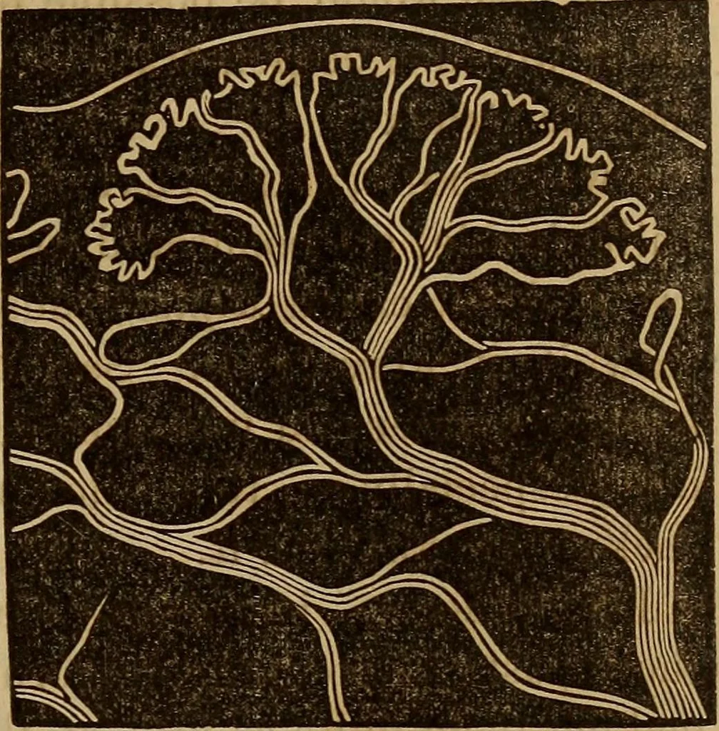 An illustration from Human science, or, Phrenology : its principles, proofs, faculties, organs, temperaments, combinations, conditions, teachings, philosophies, etc., etc. : as applied to health, its values, laws, functions, organs, means, preservation, restoration, etc. : mental philosophy, human and self improvement, civilization, home, country, commerce, rights, duties, ethics, etc. : God, His existence, attributes, laws, worship, natural theology, etc. : immortality, its evidences, conditions, relations to time, rewards, punishments, sin, faith, prayer, etc. : intellect, memory, juvenile and self education, literature, mental discipline, the senses, sciences, arts, avocations, a perfect life, etc., etc., etc., 1873, leaf 166
