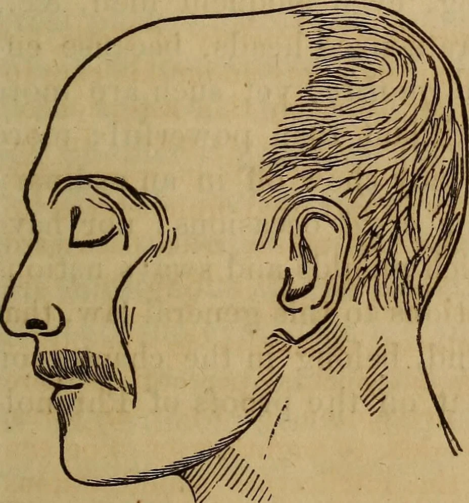 An illustration from Human science, or, Phrenology : its principles, proofs, faculties, organs, temperaments, combinations, conditions, teachings, philosophies, etc., etc. : as applied to health, its values, laws, functions, organs, means, preservation, restoration, etc. : mental philosophy, human and self improvement, civilization, home, country, commerce, rights, duties, ethics, etc. : God, His existence, attributes, laws, worship, natural theology, etc. : immortality, its evidences, conditions, relations to time, rewards, punishments, sin, faith, prayer, etc. : intellect, memory, juvenile and self education, literature, mental discipline, the senses, sciences, arts, avocations, a perfect life, etc., etc., etc., 1873, leaf 196