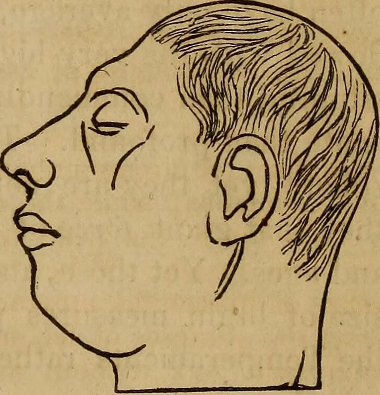 An illustration from Human science, or, Phrenology : its principles, proofs, faculties, organs, temperaments, combinations, conditions, teachings, philosophies, etc., etc. : as applied to health, its values, laws, functions, organs, means, preservation, restoration, etc. : mental philosophy, human and self improvement, civilization, home, country, commerce, rights, duties, ethics, etc. : God, His existence, attributes, laws, worship, natural theology, etc. : immortality, its evidences, conditions, relations to time, rewards, punishments, sin, faith, prayer, etc. : intellect, memory, juvenile and self education, literature, mental discipline, the senses, sciences, arts, avocations, a perfect life, etc., etc., etc., 1873, leaf 196