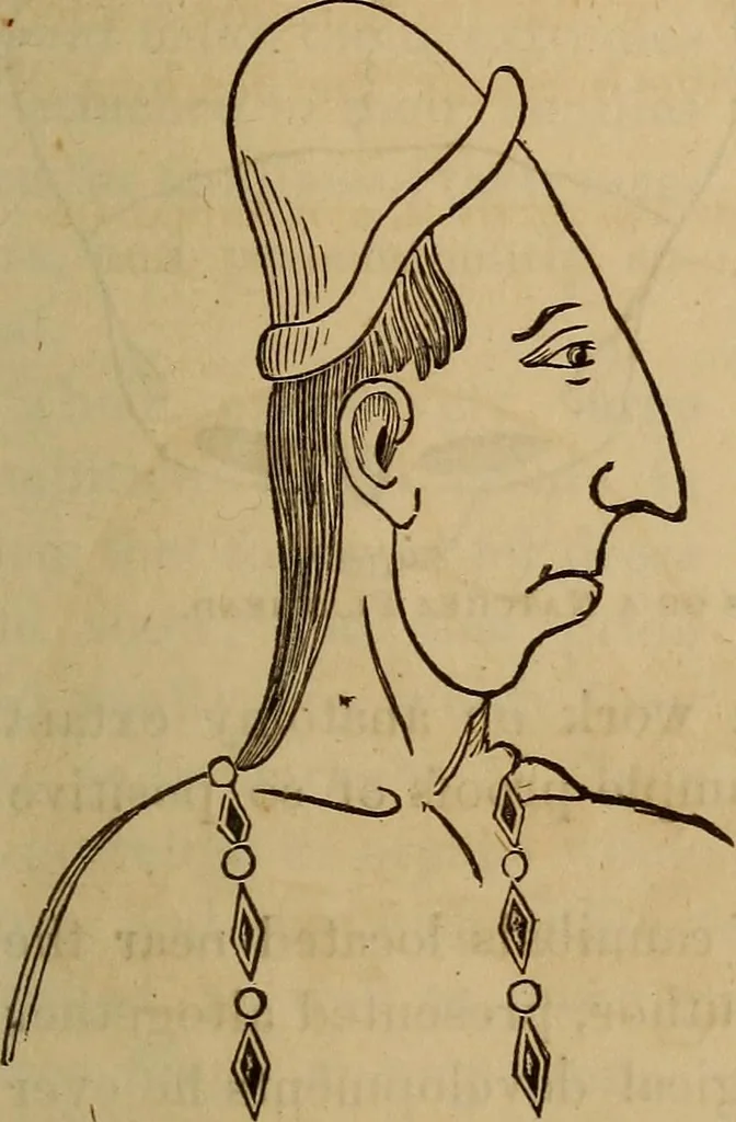 An illustration from Human science, or, Phrenology : its principles, proofs, faculties, organs, temperaments, combinations, conditions, teachings, philosophies, etc., etc. : as applied to health, its values, laws, functions, organs, means, preservation, restoration, etc. : mental philosophy, human and self improvement, civilization, home, country, commerce, rights, duties, ethics, etc. : God, His existence, attributes, laws, worship, natural theology, etc. : immortality, its evidences, conditions, relations to time, rewards, punishments, sin, faith, prayer, etc. : intellect, memory, juvenile and self education, literature, mental discipline, the senses, sciences, arts, avocations, a perfect life, etc., etc., etc., 1873, leaf 208
