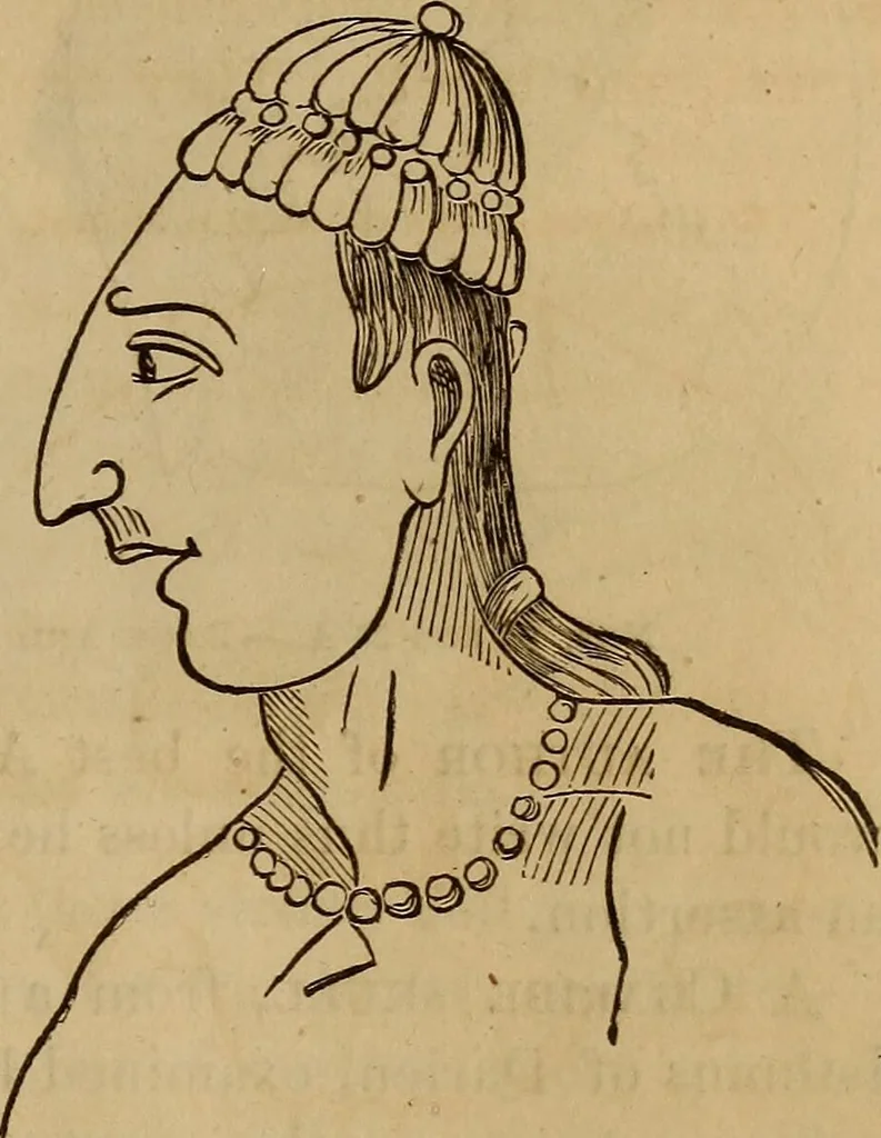 An illustration from Human science, or, Phrenology : its principles, proofs, faculties, organs, temperaments, combinations, conditions, teachings, philosophies, etc., etc. : as applied to health, its values, laws, functions, organs, means, preservation, restoration, etc. : mental philosophy, human and self improvement, civilization, home, country, commerce, rights, duties, ethics, etc. : God, His existence, attributes, laws, worship, natural theology, etc. : immortality, its evidences, conditions, relations to time, rewards, punishments, sin, faith, prayer, etc. : intellect, memory, juvenile and self education, literature, mental discipline, the senses, sciences, arts, avocations, a perfect life, etc., etc., etc., 1873, leaf 208