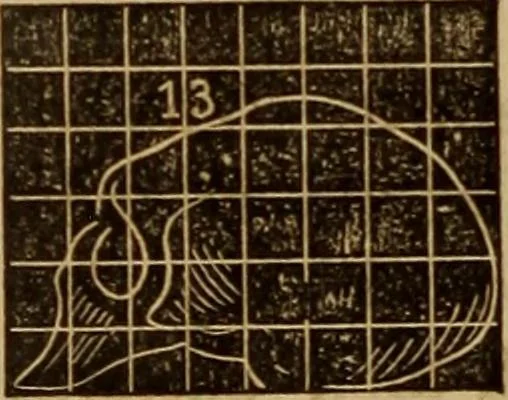 An illustration from Human science, or, Phrenology : its principles, proofs, faculties, organs, temperaments, combinations, conditions, teachings, philosophies, etc., etc. : as applied to health, its values, laws, functions, organs, means, preservation, restoration, etc. : mental philosophy, human and self improvement, civilization, home, country, commerce, rights, duties, ethics, etc. : God, His existence, attributes, laws, worship, natural theology, etc. : immortality, its evidences, conditions, relations to time, rewards, punishments, sin, faith, prayer, etc. : intellect, memory, juvenile and self education, literature, mental discipline, the senses, sciences, arts, avocations, a perfect life, etc., etc., etc., 1873, leaf 209