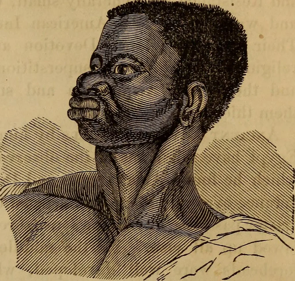 An illustration from Human science, or, Phrenology : its principles, proofs, faculties, organs, temperaments, combinations, conditions, teachings, philosophies, etc., etc. : as applied to health, its values, laws, functions, organs, means, preservation, restoration, etc. : mental philosophy, human and self improvement, civilization, home, country, commerce, rights, duties, ethics, etc. : God, His existence, attributes, laws, worship, natural theology, etc. : immortality, its evidences, conditions, relations to time, rewards, punishments, sin, faith, prayer, etc. : intellect, memory, juvenile and self education, literature, mental discipline, the senses, sciences, arts, avocations, a perfect life, etc., etc., etc., 1873, leaf 210
