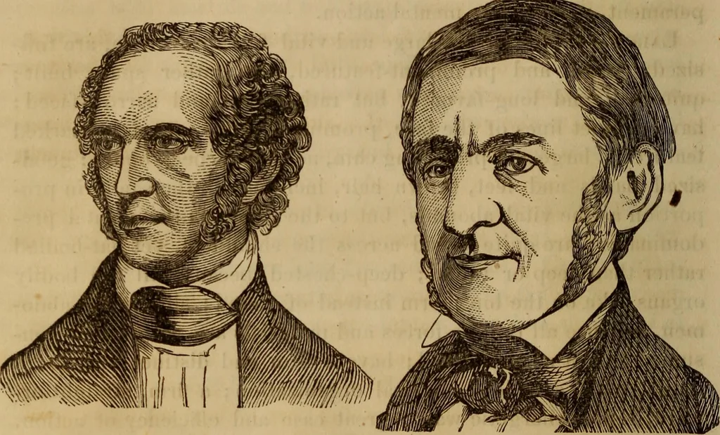 An illustration from Human science, or, Phrenology : its principles, proofs, faculties, organs, temperaments, combinations, conditions, teachings, philosophies, etc., etc. : as applied to health, its values, laws, functions, organs, means, preservation, restoration, etc. : mental philosophy, human and self improvement, civilization, home, country, commerce, rights, duties, ethics, etc. : God, His existence, attributes, laws, worship, natural theology, etc. : immortality, its evidences, conditions, relations to time, rewards, punishments, sin, faith, prayer, etc. : intellect, memory, juvenile and self education, literature, mental discipline, the senses, sciences, arts, avocations, a perfect life, etc., etc., etc., 1873, leaf 289