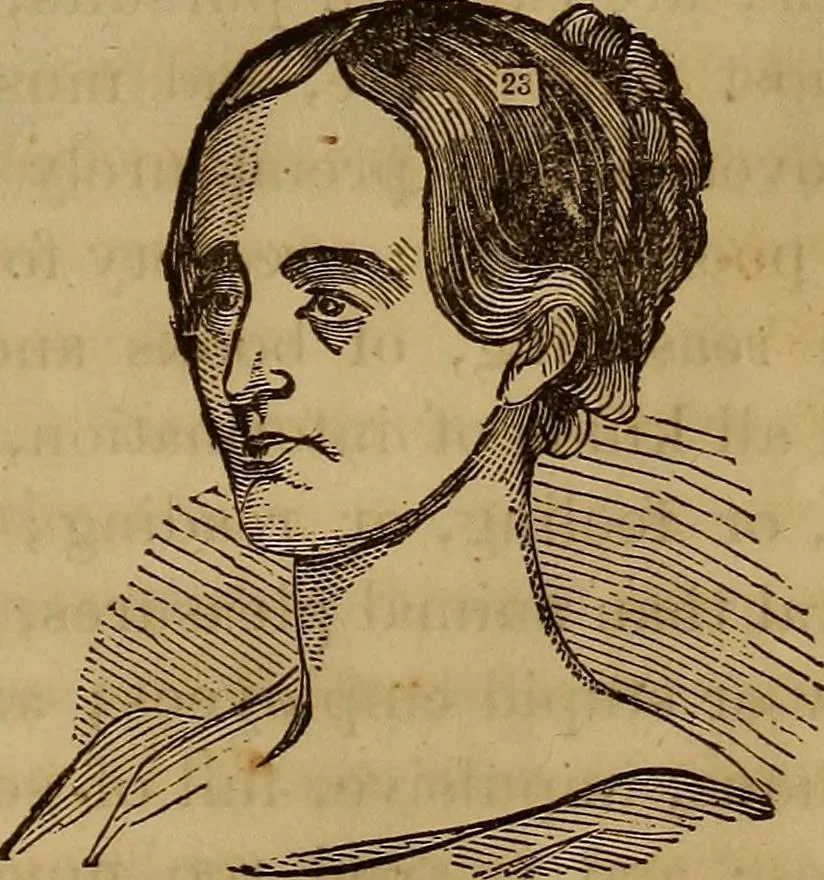 An illustration from Human science, or, Phrenology : its principles, proofs, faculties, organs, temperaments, combinations, conditions, teachings, philosophies, etc., etc. : as applied to health, its values, laws, functions, organs, means, preservation, restoration, etc. : mental philosophy, human and self improvement, civilization, home, country, commerce, rights, duties, ethics, etc. : God, His existence, attributes, laws, worship, natural theology, etc. : immortality, its evidences, conditions, relations to time, rewards, punishments, sin, faith, prayer, etc. : intellect, memory, juvenile and self education, literature, mental discipline, the senses, sciences, arts, avocations, a perfect life, etc., etc., etc., 1873, leaf 292