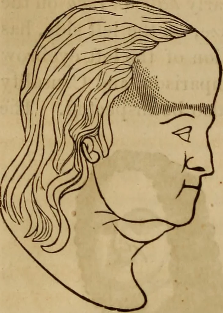 An illustration from Human science, or, Phrenology : its principles, proofs, faculties, organs, temperaments, combinations, conditions, teachings, philosophies, etc., etc. : as applied to health, its values, laws, functions, organs, means, preservation, restoration, etc. : mental philosophy, human and self improvement, civilization, home, country, commerce, rights, duties, ethics, etc. : God, His existence, attributes, laws, worship, natural theology, etc. : immortality, its evidences, conditions, relations to time, rewards, punishments, sin, faith, prayer, etc. : intellect, memory, juvenile and self education, literature, mental discipline, the senses, sciences, arts, avocations, a perfect life, etc., etc., etc., 1873, leaf 337