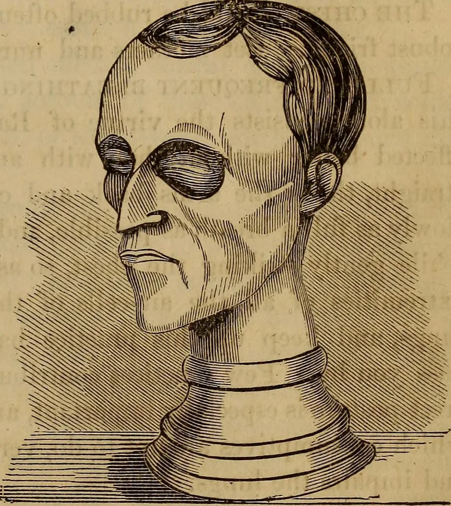 An illustration from Human science, or, Phrenology : its principles, proofs, faculties, organs, temperaments, combinations, conditions, teachings, philosophies, etc., etc. : as applied to health, its values, laws, functions, organs, means, preservation, restoration, etc. : mental philosophy, human and self improvement, civilization, home, country, commerce, rights, duties, ethics, etc. : God, His existence, attributes, laws, worship, natural theology, etc. : immortality, its evidences, conditions, relations to time, rewards, punishments, sin, faith, prayer, etc. : intellect, memory, juvenile and self education, literature, mental discipline, the senses, sciences, arts, avocations, a perfect life, etc., etc., etc., 1873, leaf 412