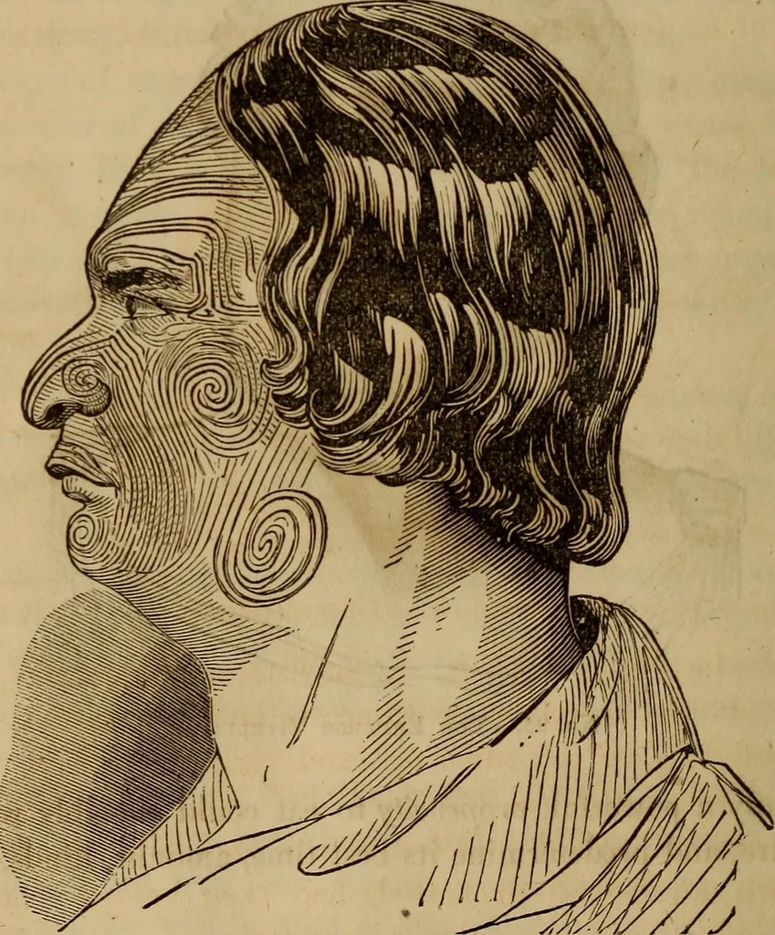 An illustration from Human science, or, Phrenology : its principles, proofs, faculties, organs, temperaments, combinations, conditions, teachings, philosophies, etc., etc. : as applied to health, its values, laws, functions, organs, means, preservation, restoration, etc. : mental philosophy, human and self improvement, civilization, home, country, commerce, rights, duties, ethics, etc. : God, His existence, attributes, laws, worship, natural theology, etc. : immortality, its evidences, conditions, relations to time, rewards, punishments, sin, faith, prayer, etc. : intellect, memory, juvenile and self education, literature, mental discipline, the senses, sciences, arts, avocations, a perfect life, etc., etc., etc., 1873, leaf 427