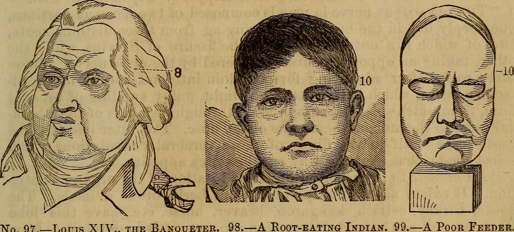 An illustration from Human science, or, Phrenology : its principles, proofs, faculties, organs, temperaments, combinations, conditions, teachings, philosophies, etc., etc. : as applied to health, its values, laws, functions, organs, means, preservation, restoration, etc. : mental philosophy, human and self improvement, civilization, home, country, commerce, rights, duties, ethics, etc. : God, His existence, attributes, laws, worship, natural theology, etc. : immortality, its evidences, conditions, relations to time, rewards, punishments, sin, faith, prayer, etc. : intellect, memory, juvenile and self education, literature, mental discipline, the senses, sciences, arts, avocations, a perfect life, etc., etc., etc., 1873, leaf 428